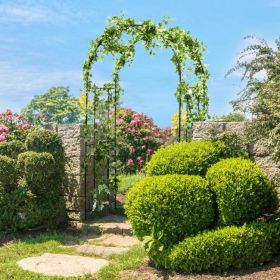 Garden Arch Arbor Trellis Patio Plant Stand Rack Archway